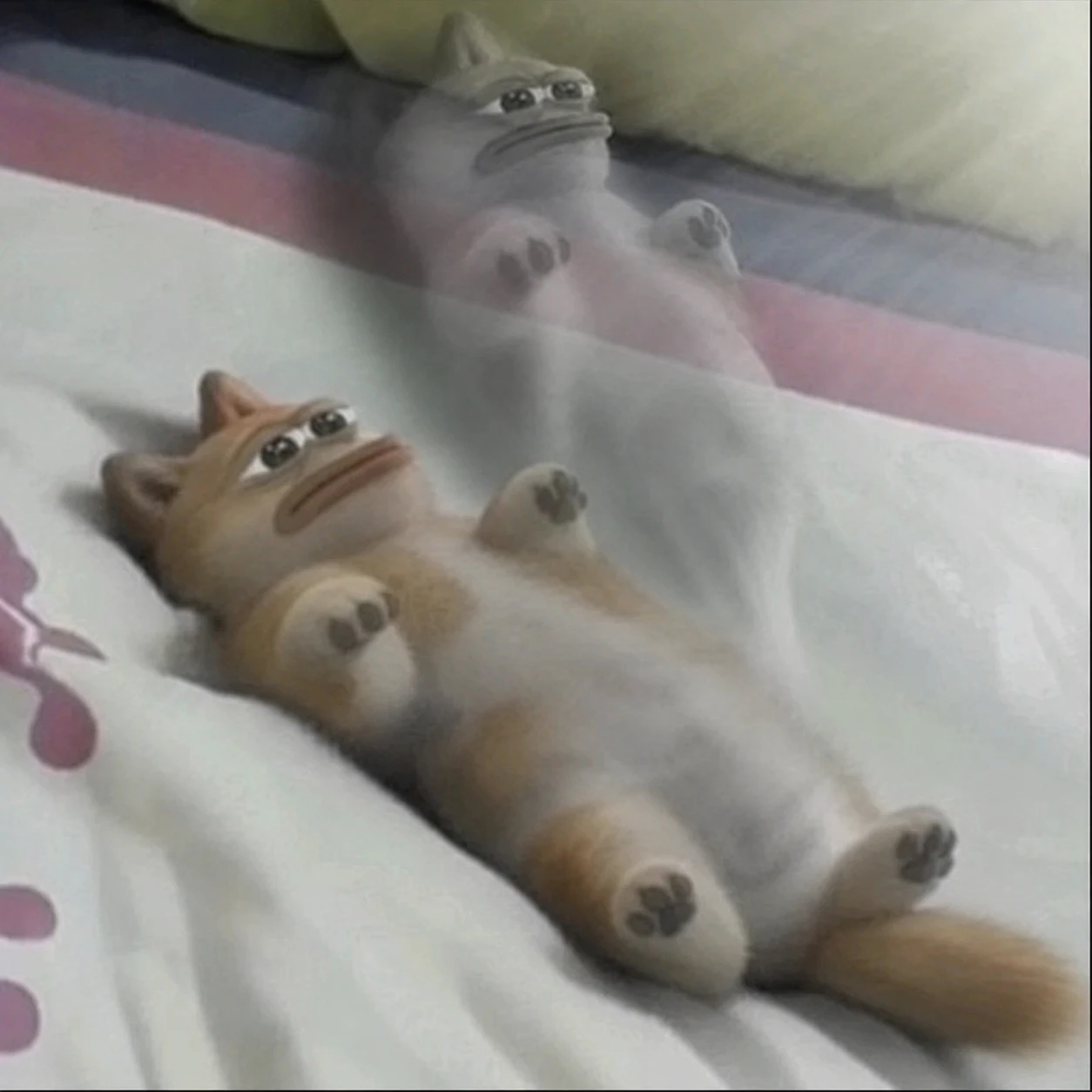 Doge lying on a bed while its spirit floats above